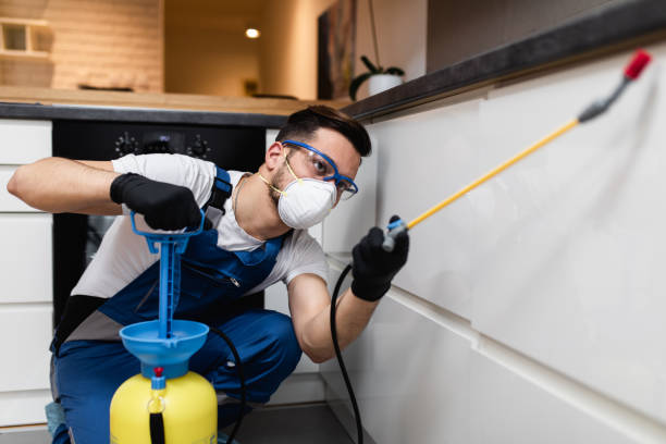 Best Bed Bug Extermination  in Rochester, WA