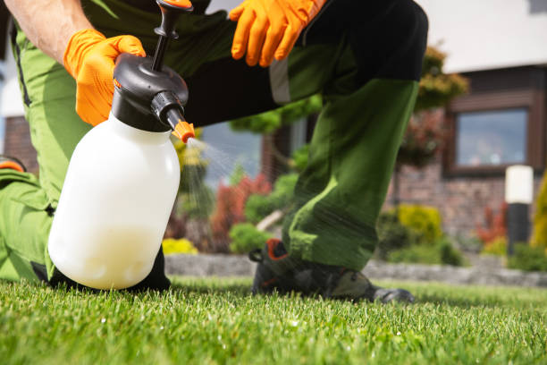 Insect Control in Rochester, WA
