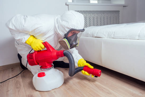 Best Affordable Pest Control Services  in Rochester, WA
