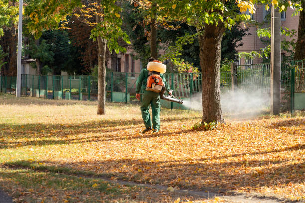 Best Residential Pest Control  in Rochester, WA