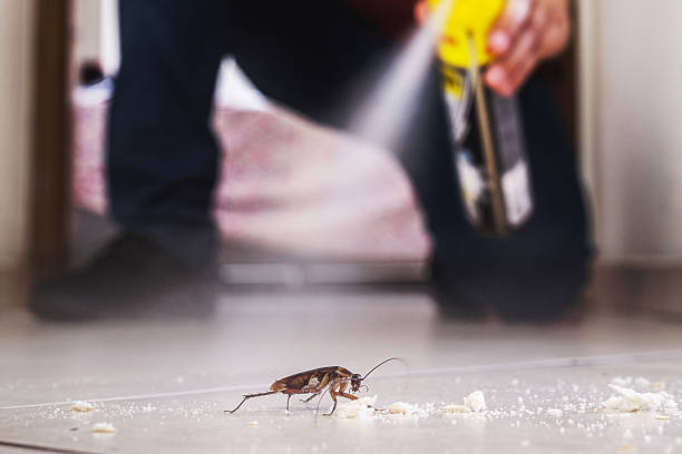 Best Pest Prevention Services  in Rochester, WA