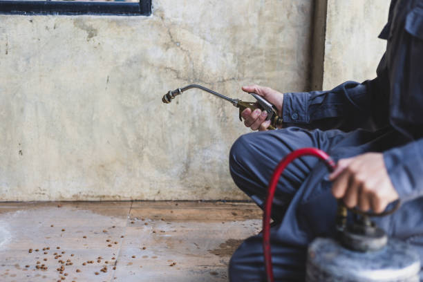 Best Best Pest Control Companies  in Rochester, WA